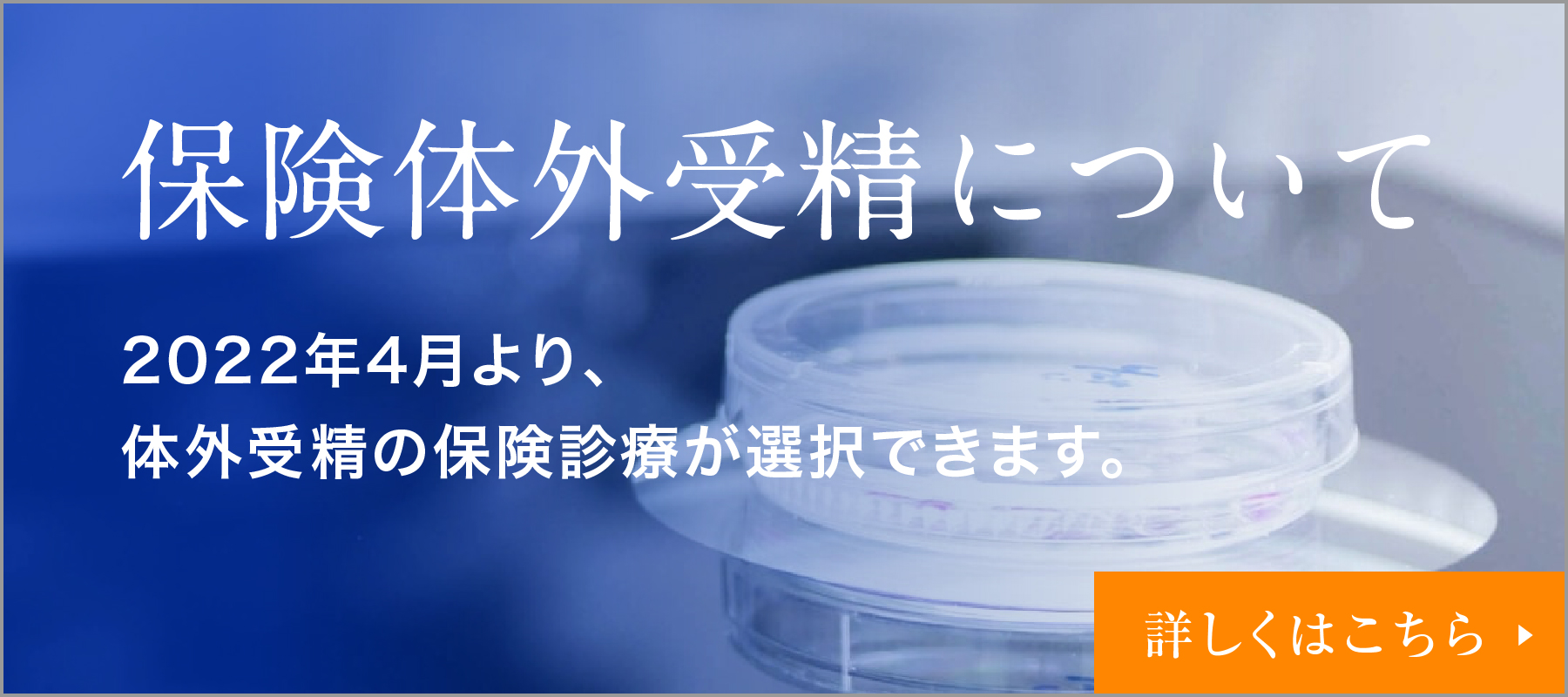 保険体外受精について